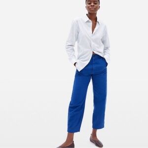Everlane Deep Blue Distressed Canvas Pants
